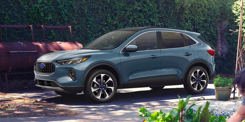 blue ford escape near some trees