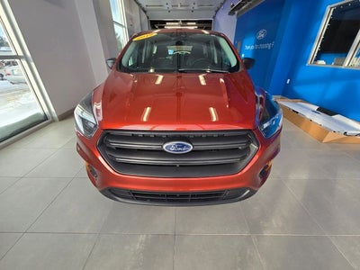 2019 Ford Escape S